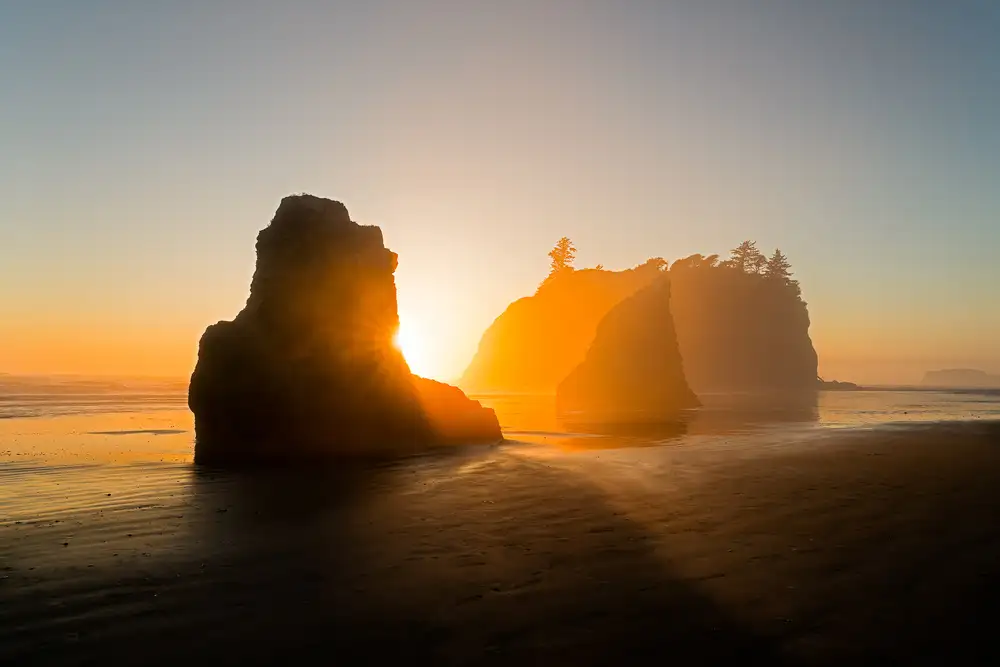 Fan, John: The Golden Beach