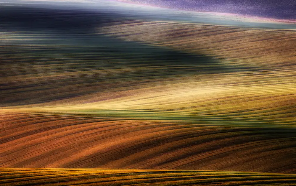 Krol, Bax Piotr: autumn fields