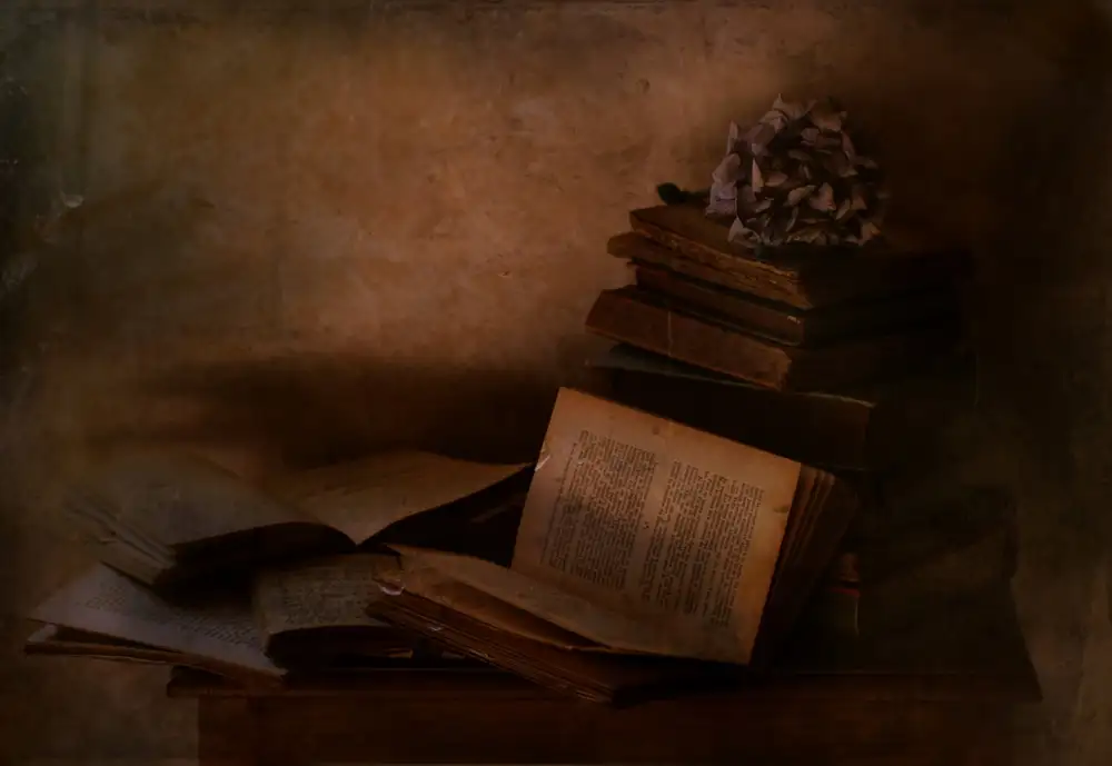 Devos, Delphine: Alte Bücher
