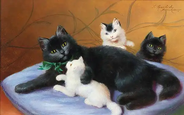 Sperlich, Sophie: Cat family
