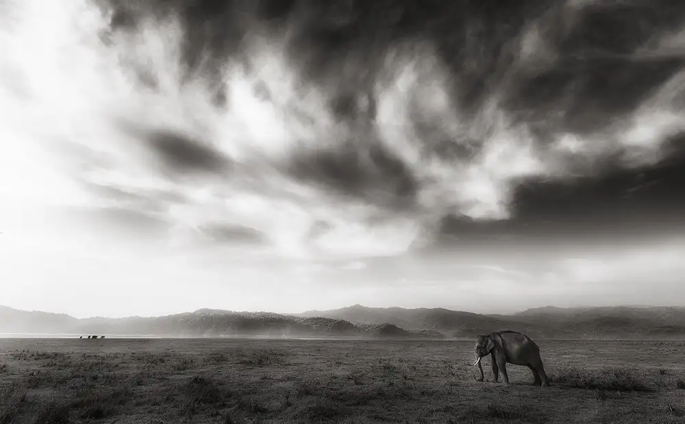 Swapnil: Regno 2