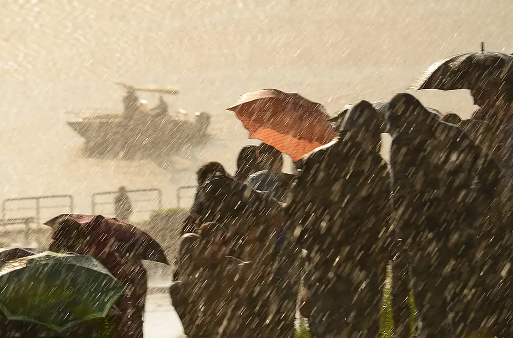 Babovic, M. Dragan: RAINY DAY