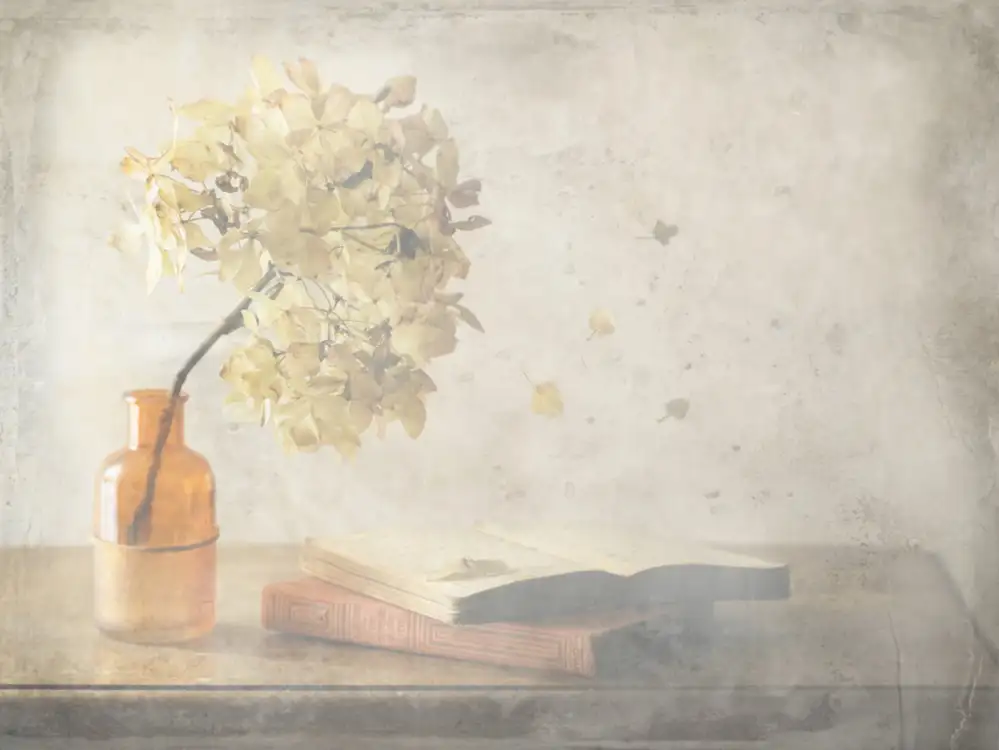 Devos, Delphine: October Bliss