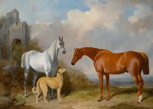 Barraud, William: Grey and Chestnut Hunter with a greyhound