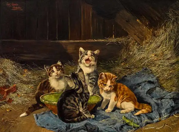 Adam, Julius: Cats with a boil