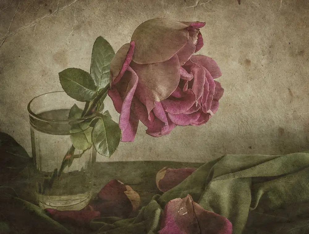 Tokarev, Igor: Tear of Rose