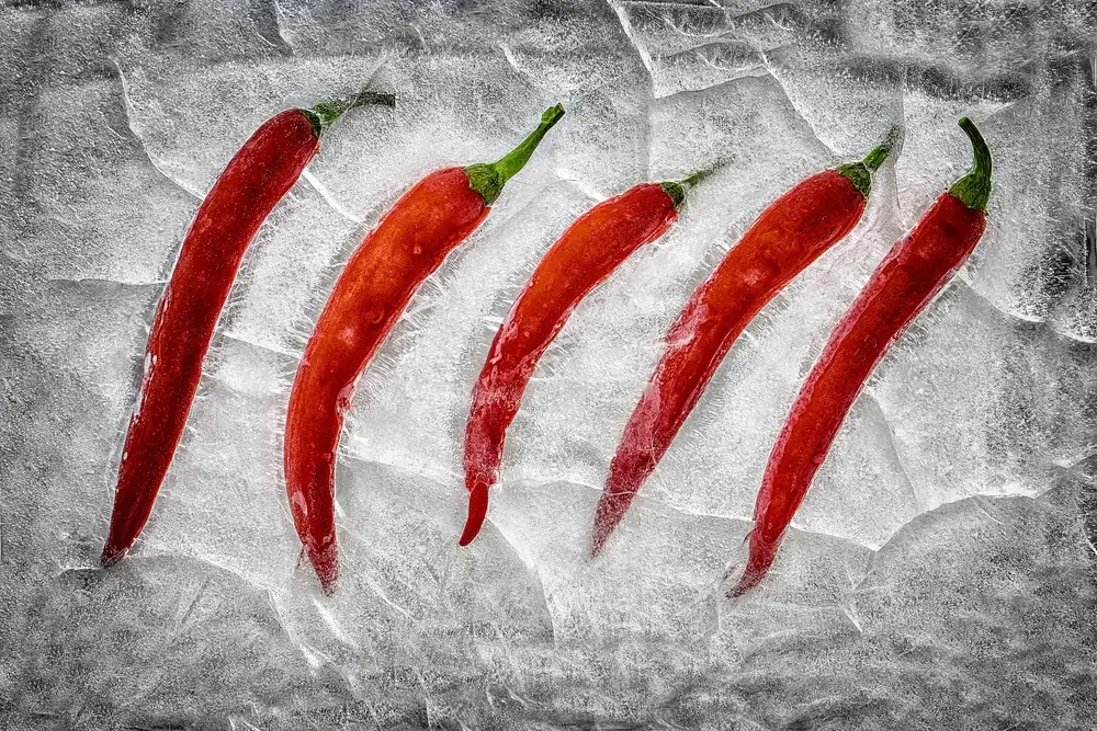 Losada, Secundino: Frozen fire