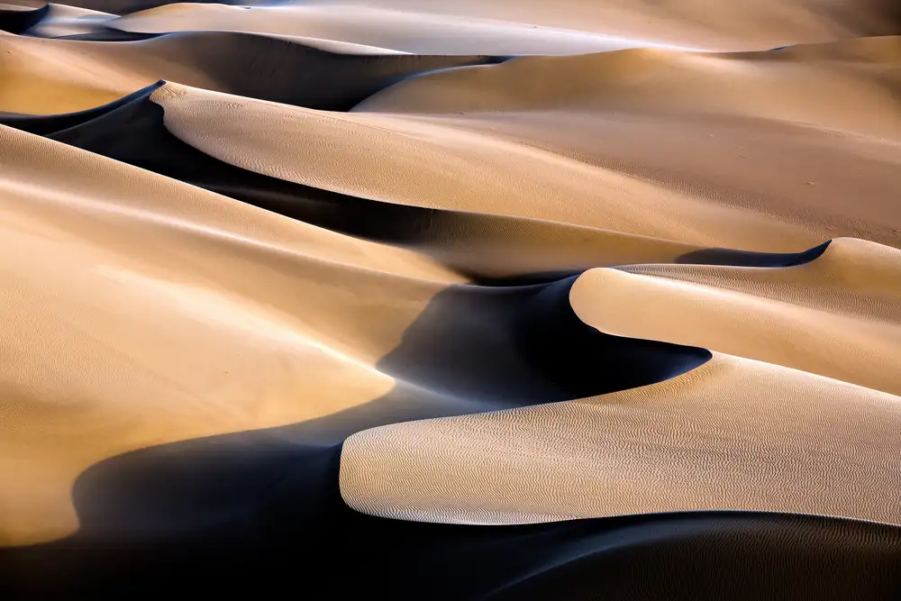 Momeni, Mohammadreza: Music