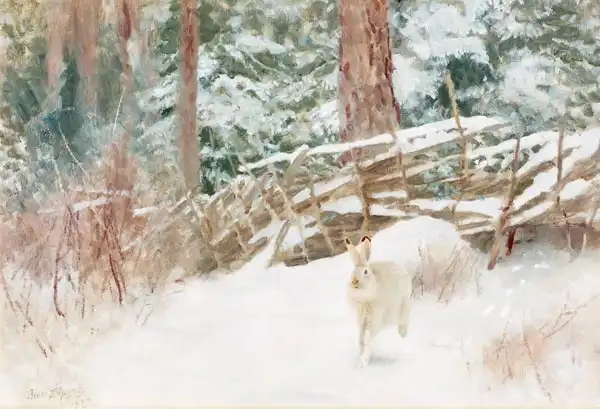 Liljefors, Bruno: Winter landscape with hare