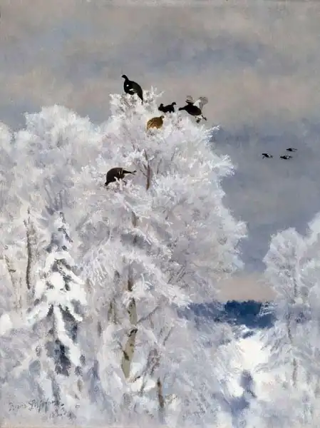 Liljefors, Bruno: Black grouse in a treetop