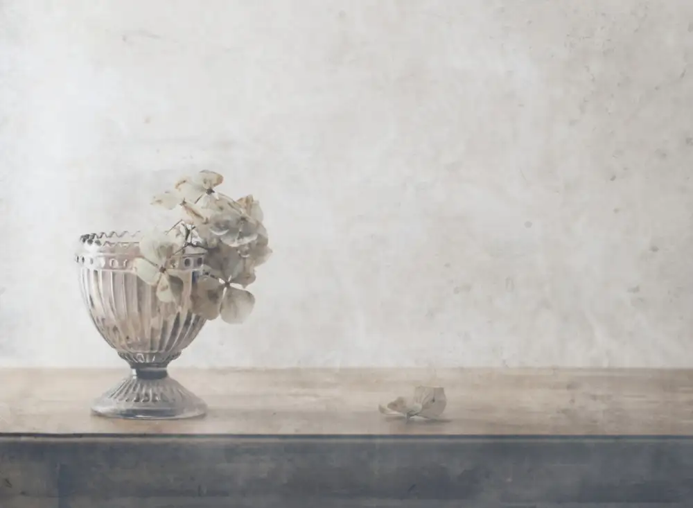 Devos, Delphine: Rustic