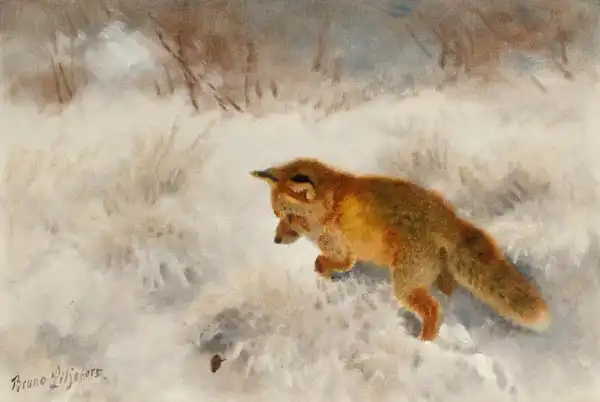 Liljefors, Bruno: A fox lurking for prey
