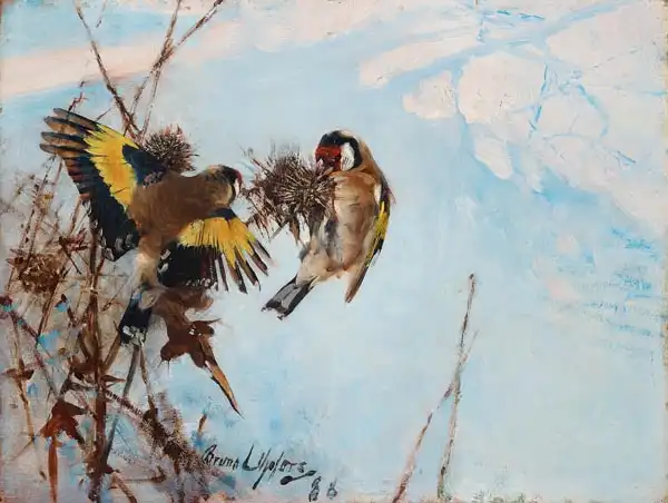 Liljefors, Bruno: Goldfinch
