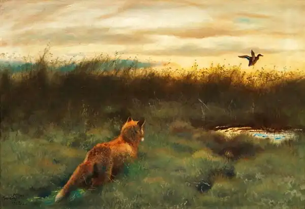 Liljefors, Bruno: Fox and duck