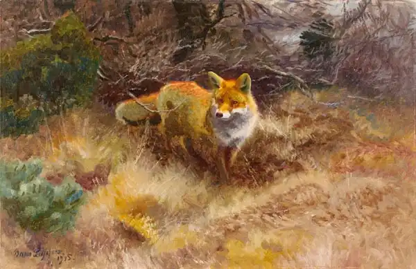 Liljefors, Bruno: Fox and landscape