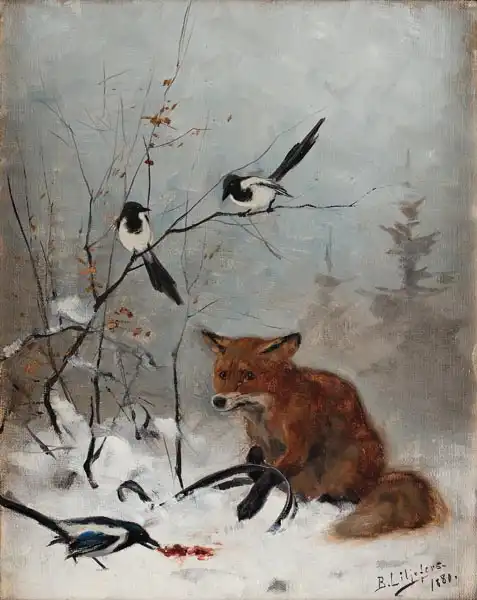 Liljefors, Bruno: Fox caught in a foothold trap