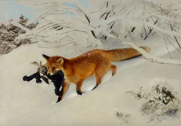 Liljefors, Bruno: Fox in snow landscapep
