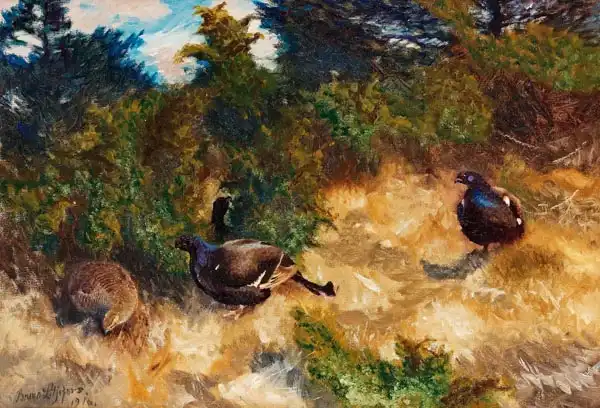Liljefors, Bruno: Orrspel