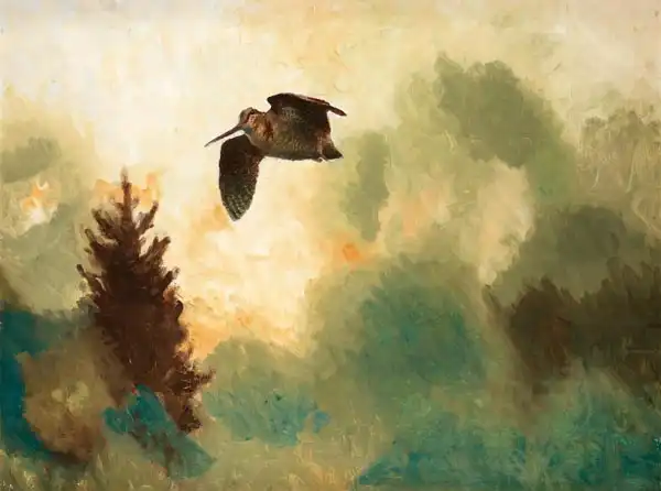Liljefors, Bruno: Landscape with Snipe