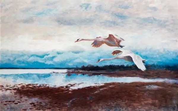 Liljefors, Bruno: Swedish swans in flight