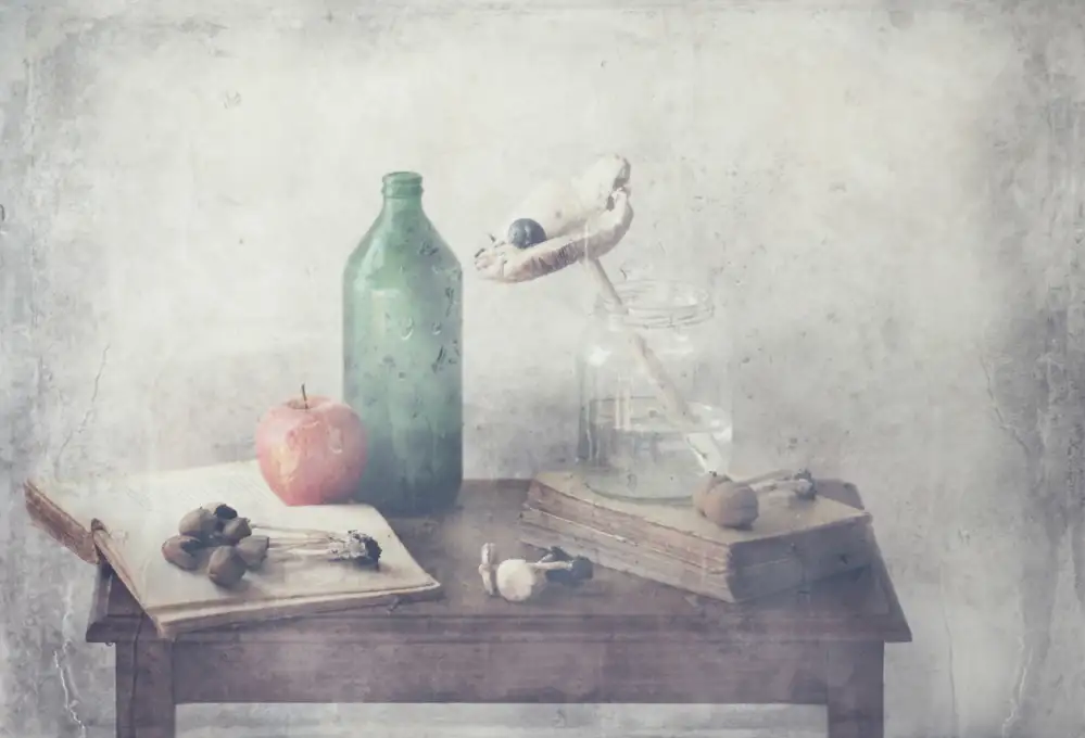 Devos, Delphine: Mushrooms