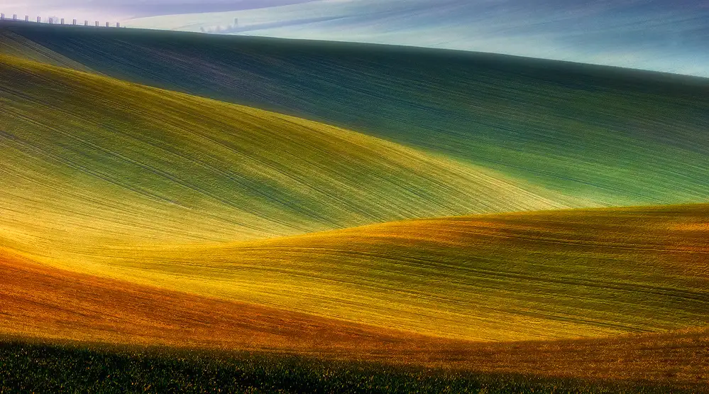 Krol, Bax Piotr: Spring fields