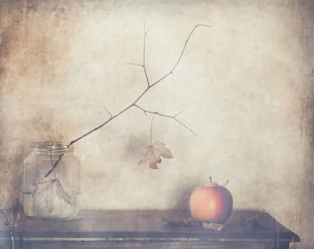 Devos, Delphine: Fall, leaves, fall