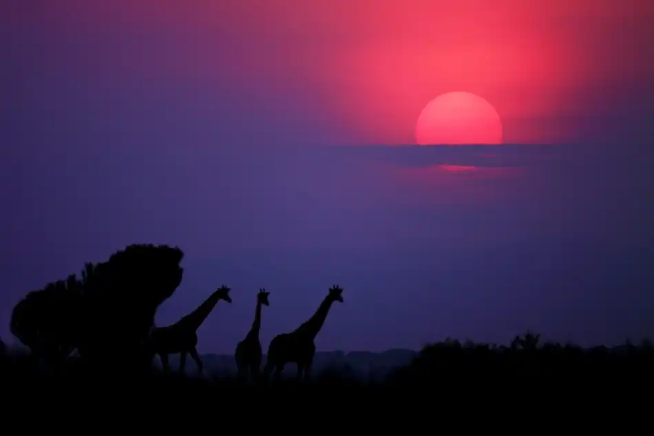 Merino, Nicolás: Sunrise in Uganda