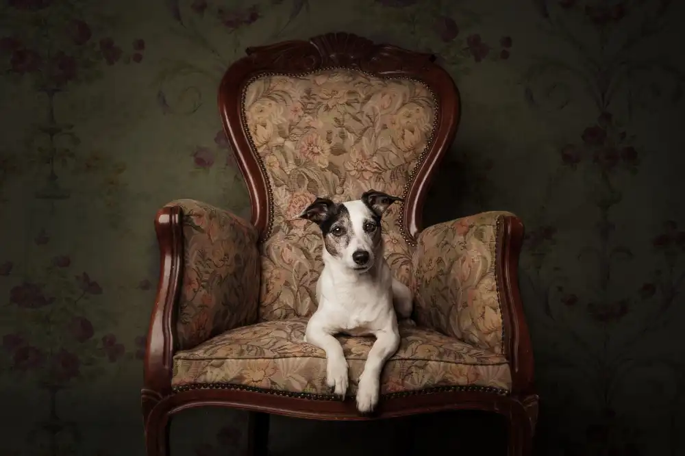 Willers, Heike: Lady Molly