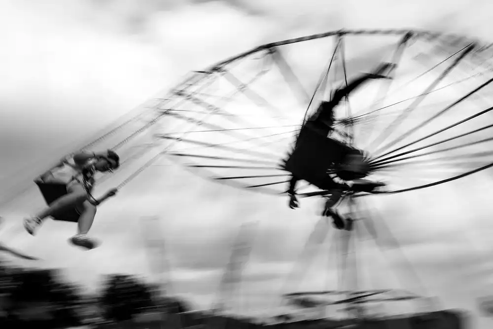 Cinteza, Marius: Birdman