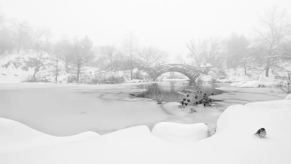 menghuailin: Der erste Schnee im Central Park