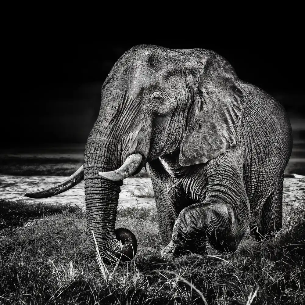 Flour, Piet: sunset at the waterhole