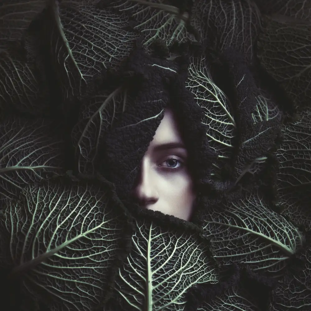 Russocka, Magdalena: cabbage