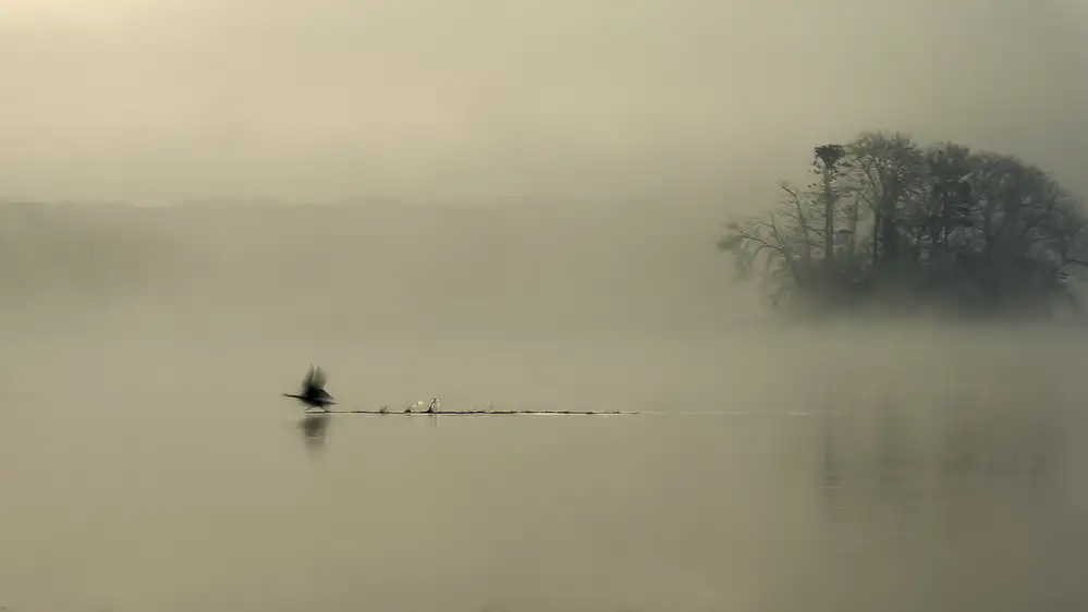 Helsen, Eddy: Mlžné jezero