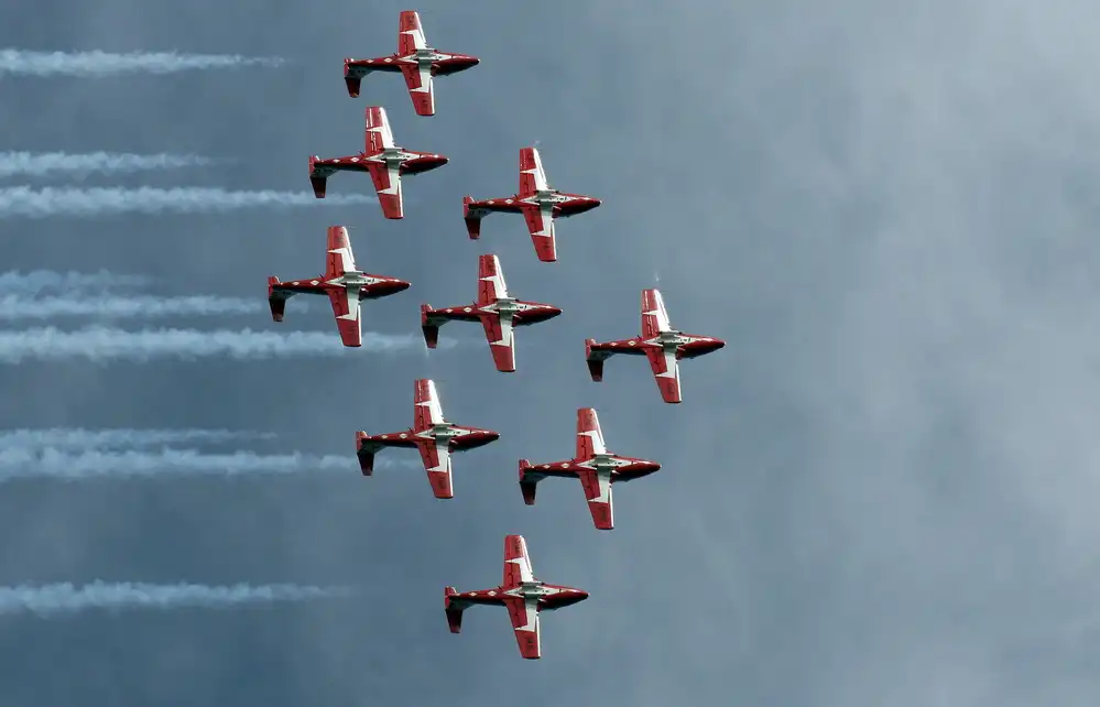 Erkmen, Ugur: Snowbirds
