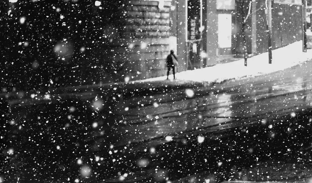 Wang, Jian: Im Schnee Nr. 2