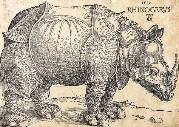 Dürer, Albrecht: Rhinoceros