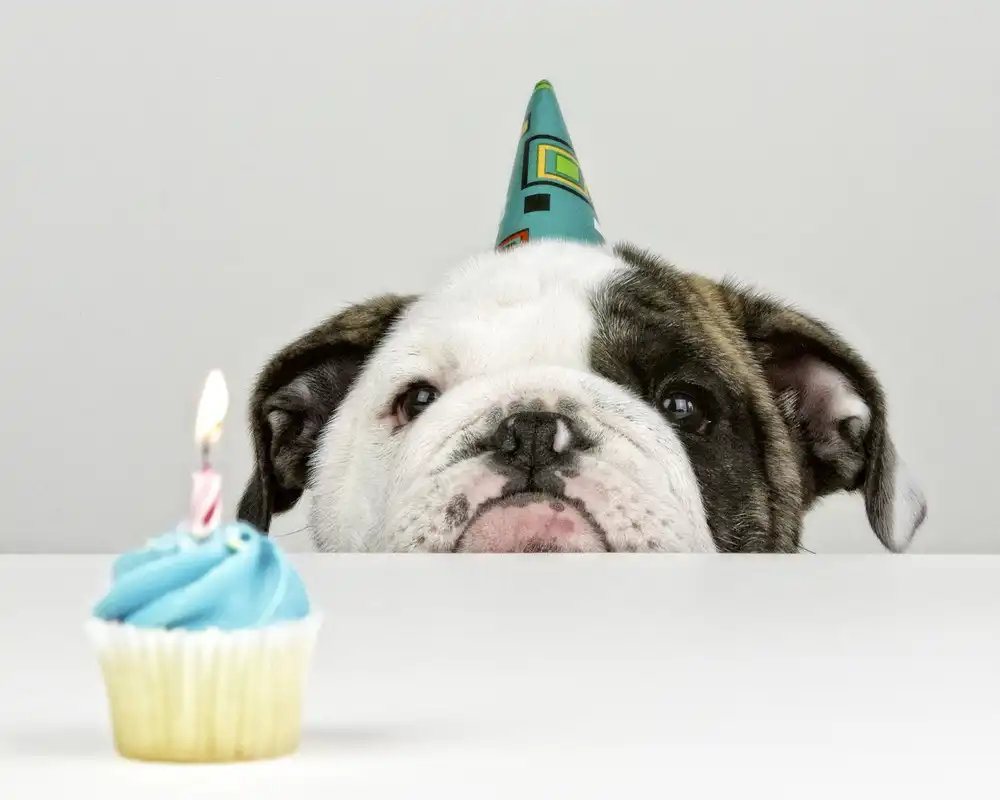Melnotte, Mike: A Little Birthday