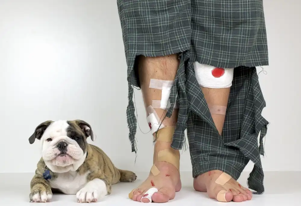 Melnotte, Mike: Get A Puppy, They Said