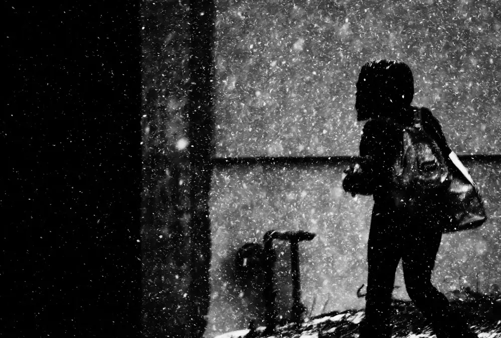 Wang, Jian: Dia de nieve