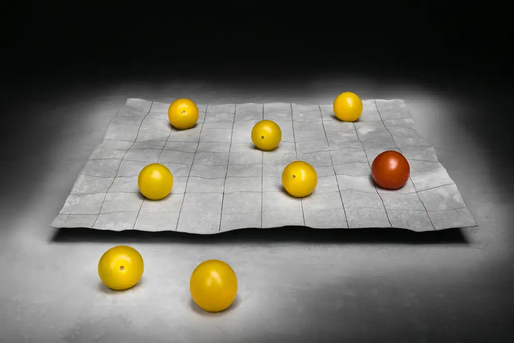 Verot, Christophe: The game