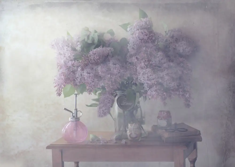Devos, Delphine: Sweet Lilacs