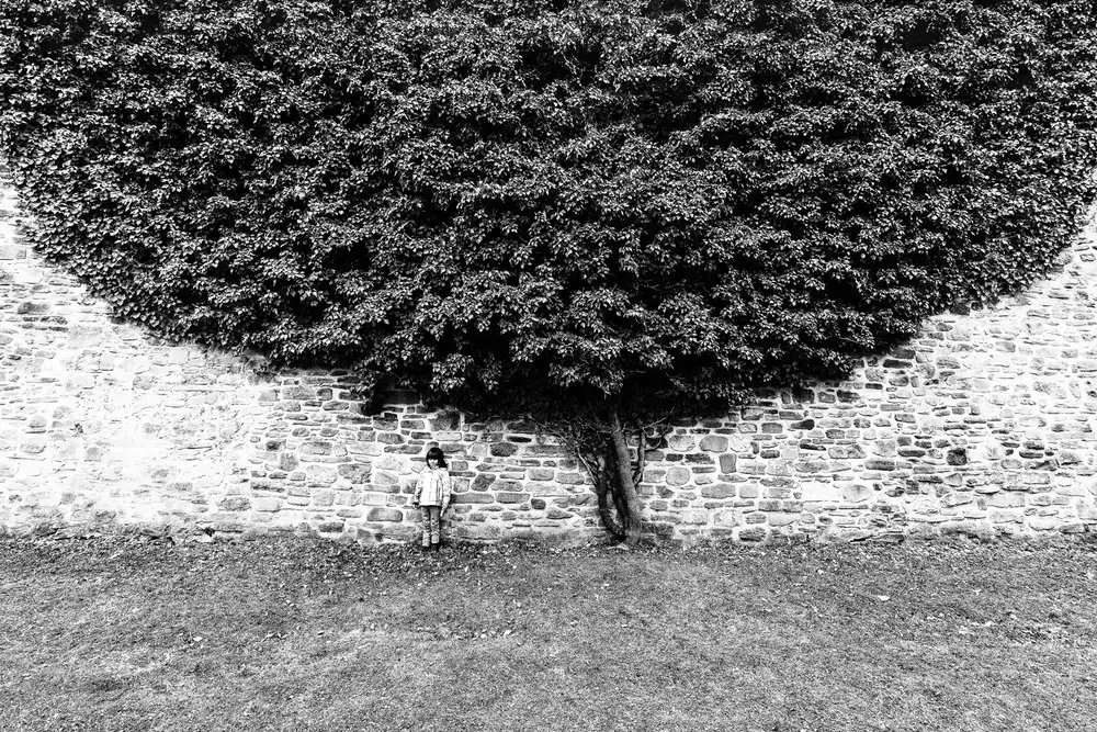 Cinteza, Marius: Under the tree