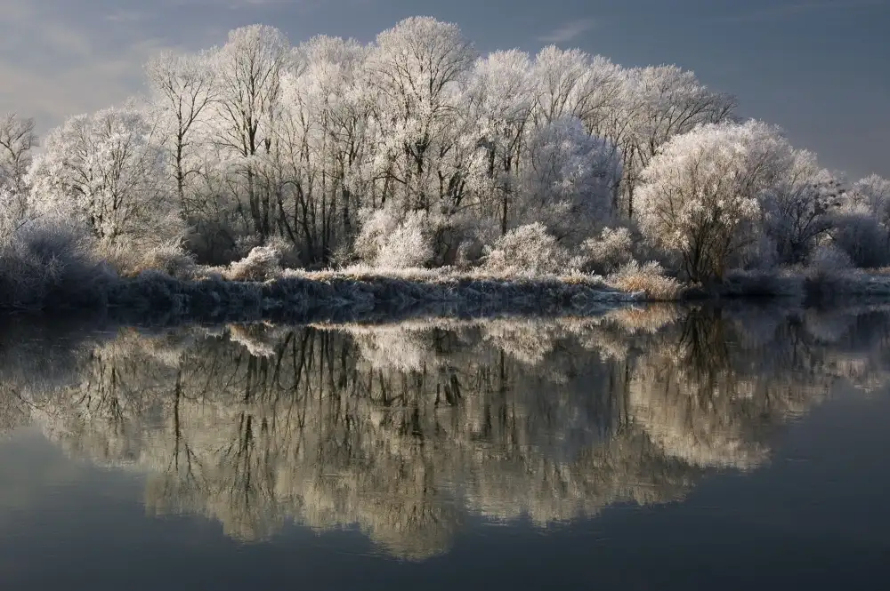 Stefan, Jacek: One reflection more