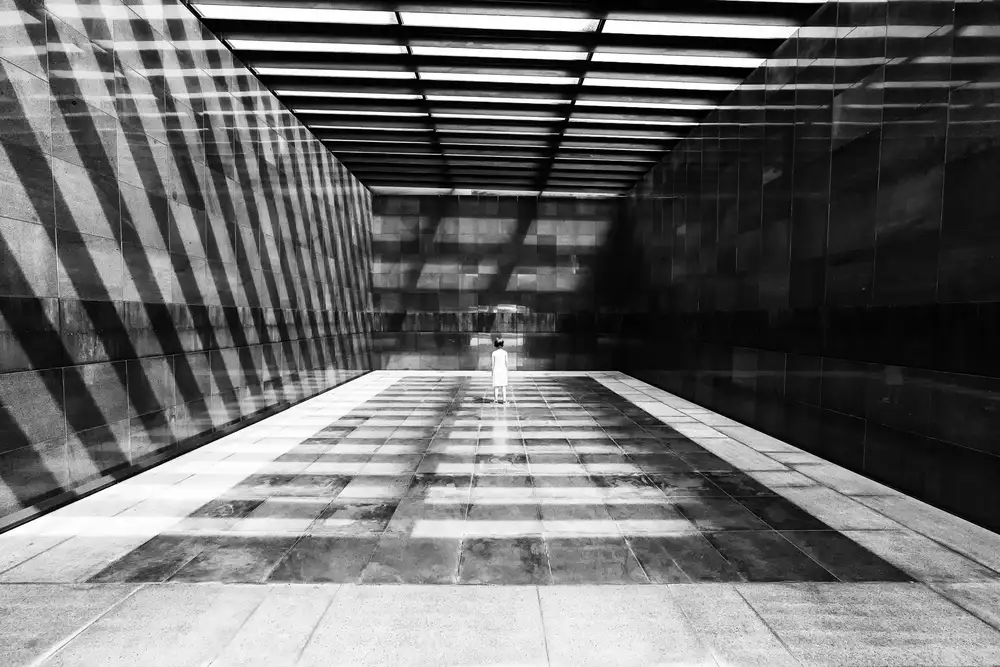 Cinteza, Marius: Trapped