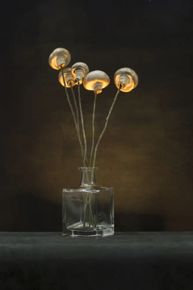 Barkow, Brig: Bouquet of mushrooms