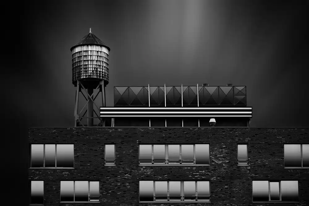 Denis: The Roof