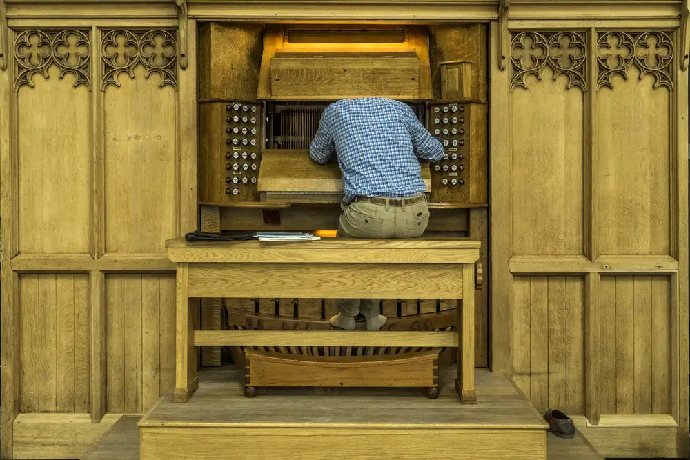 Stoop, Susanne: Repairing the organ
