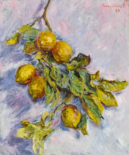 Monet, Claude: Lemons on a branch