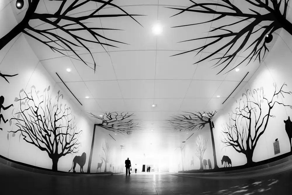 Hashimoto, Tetsuya: Strada forestale urbana